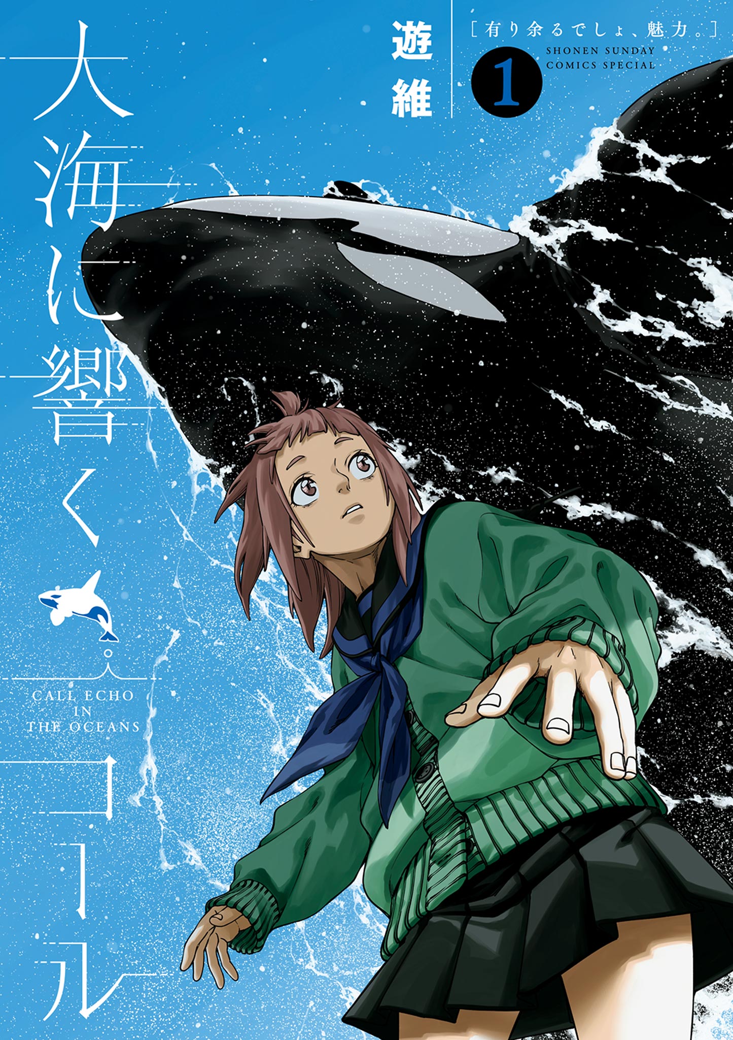 Call Echo in the Oceans