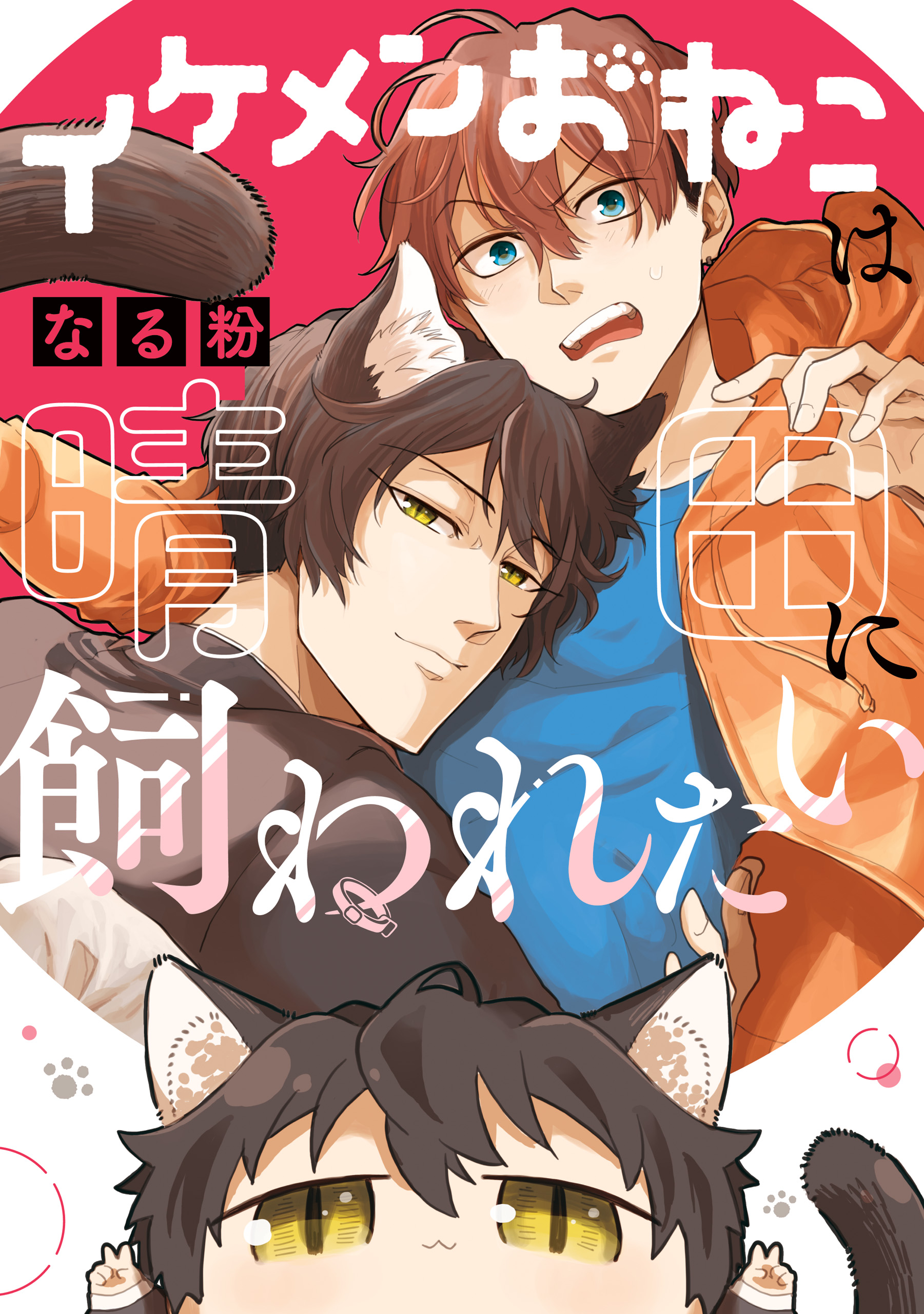 Kakure Fudanshi ni Aimashita
