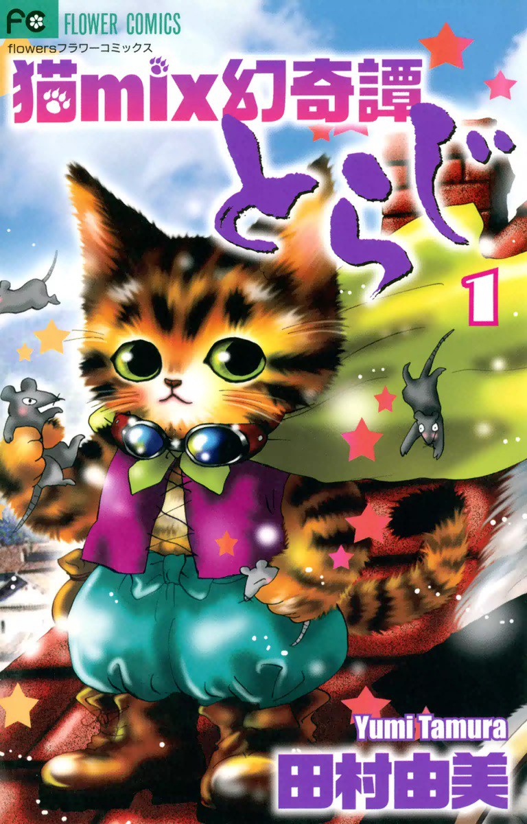 A Cat Mix's Illusory Tale: Toraji
